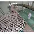 Pasteurizer à tunnel pour les bouteilles de pâte de tomate